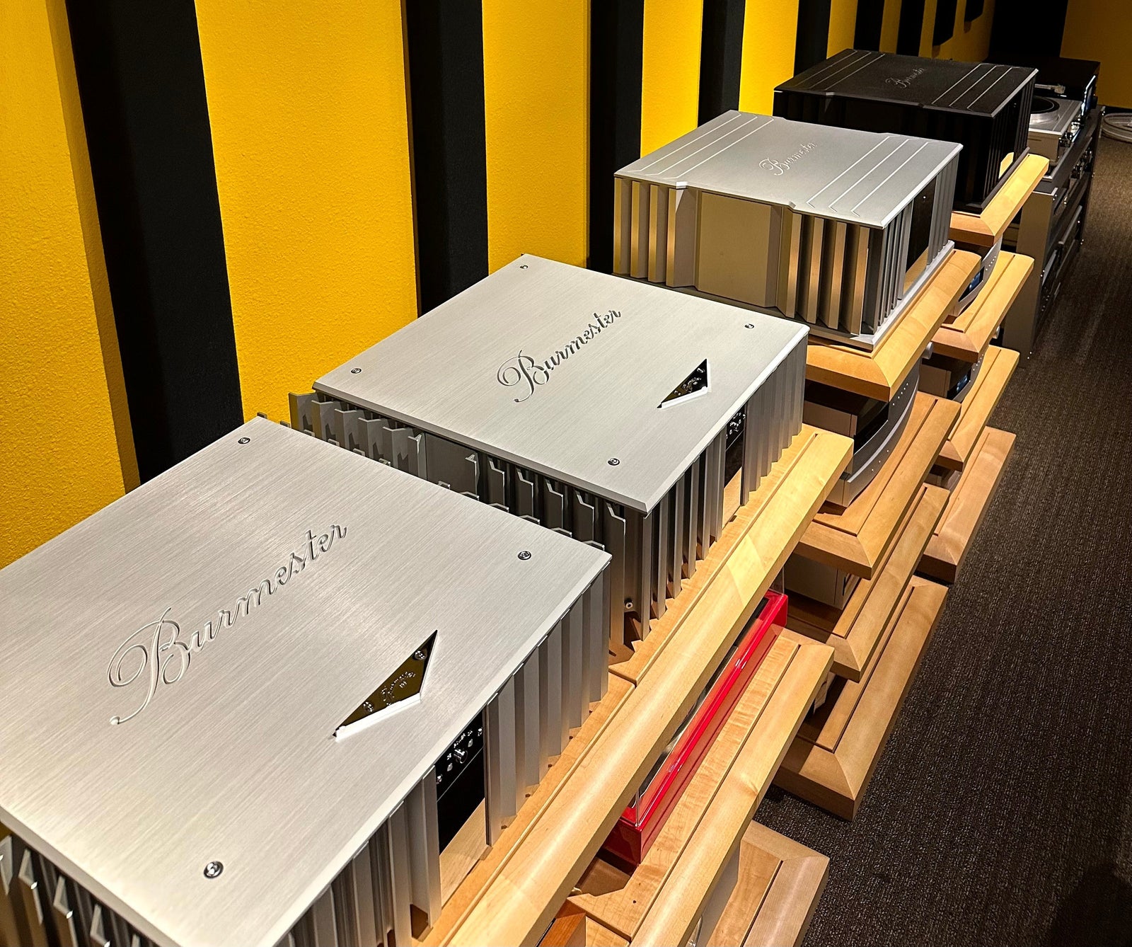 Burmester Amplification