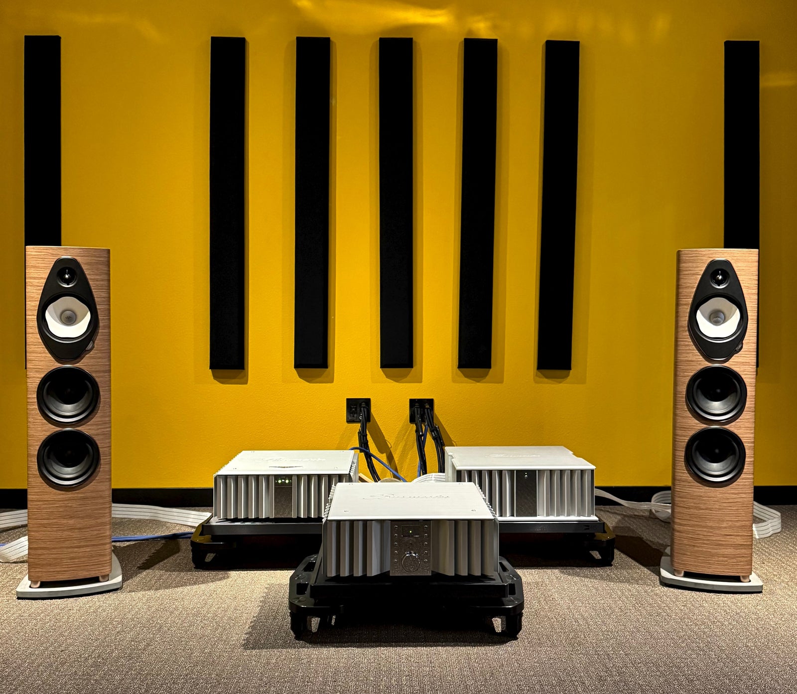 Sf Sonetto V G2 + Burmester Amplification + dCS Audio + HRS