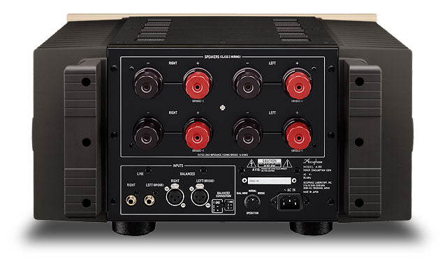 Accuphase A-80 rear panel