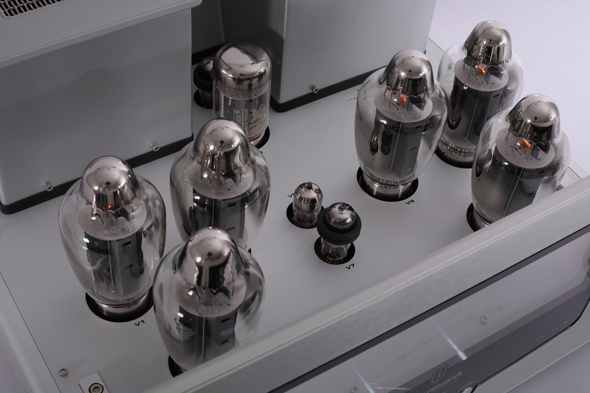 Reference 330M Monoblock Power Amplifier