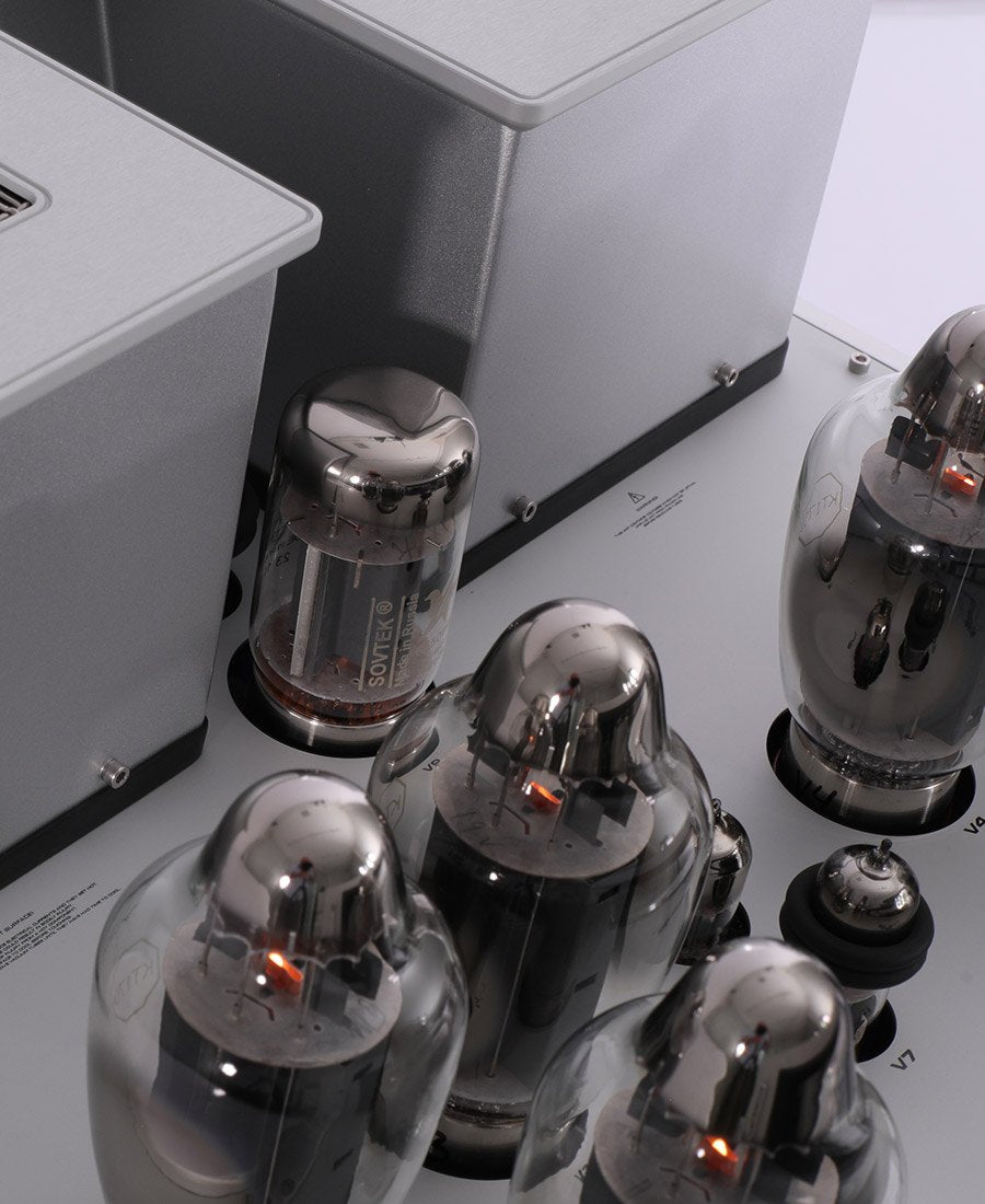 Reference 330M Monoblock Power Amplifier