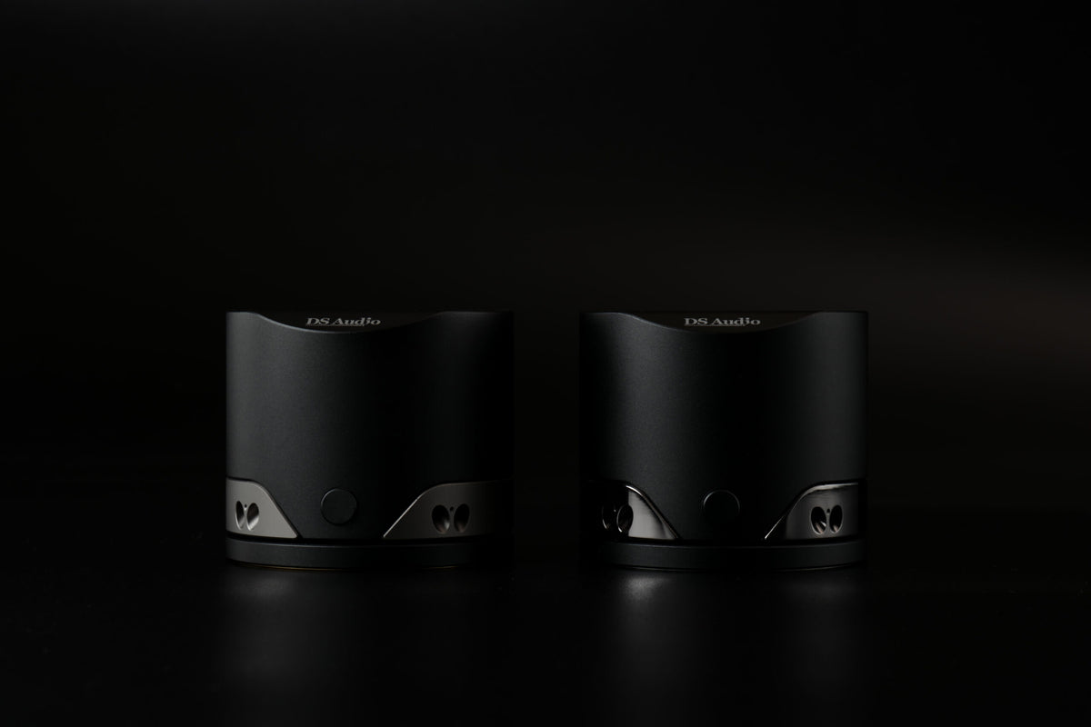 DS Audio ES-002 Eccentricity Detection Stabilizer