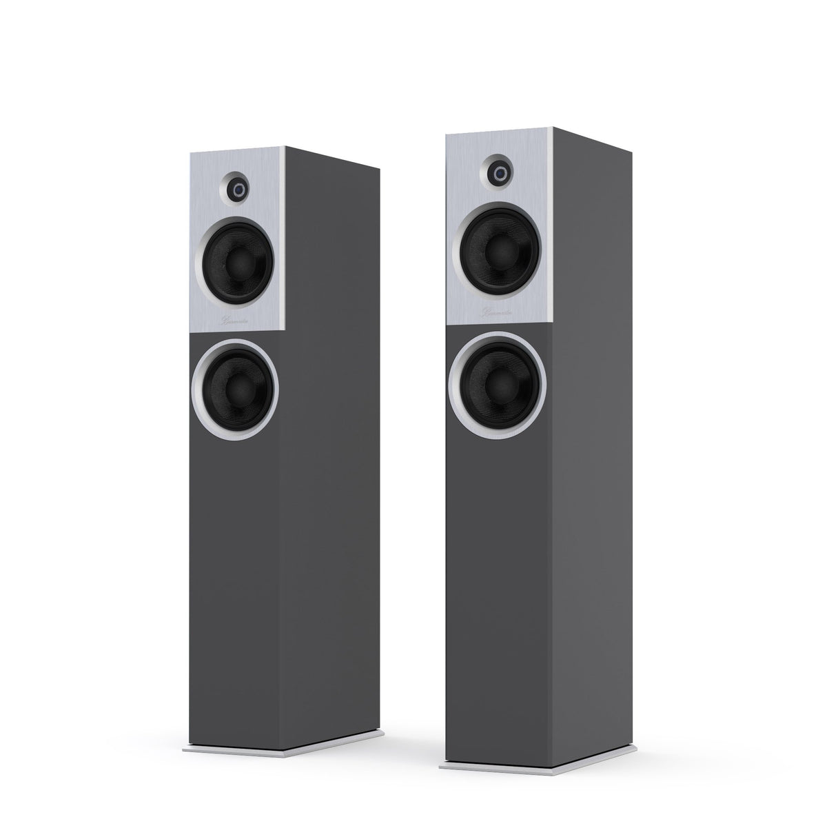 Burmester B18 grey cabinet, silver front