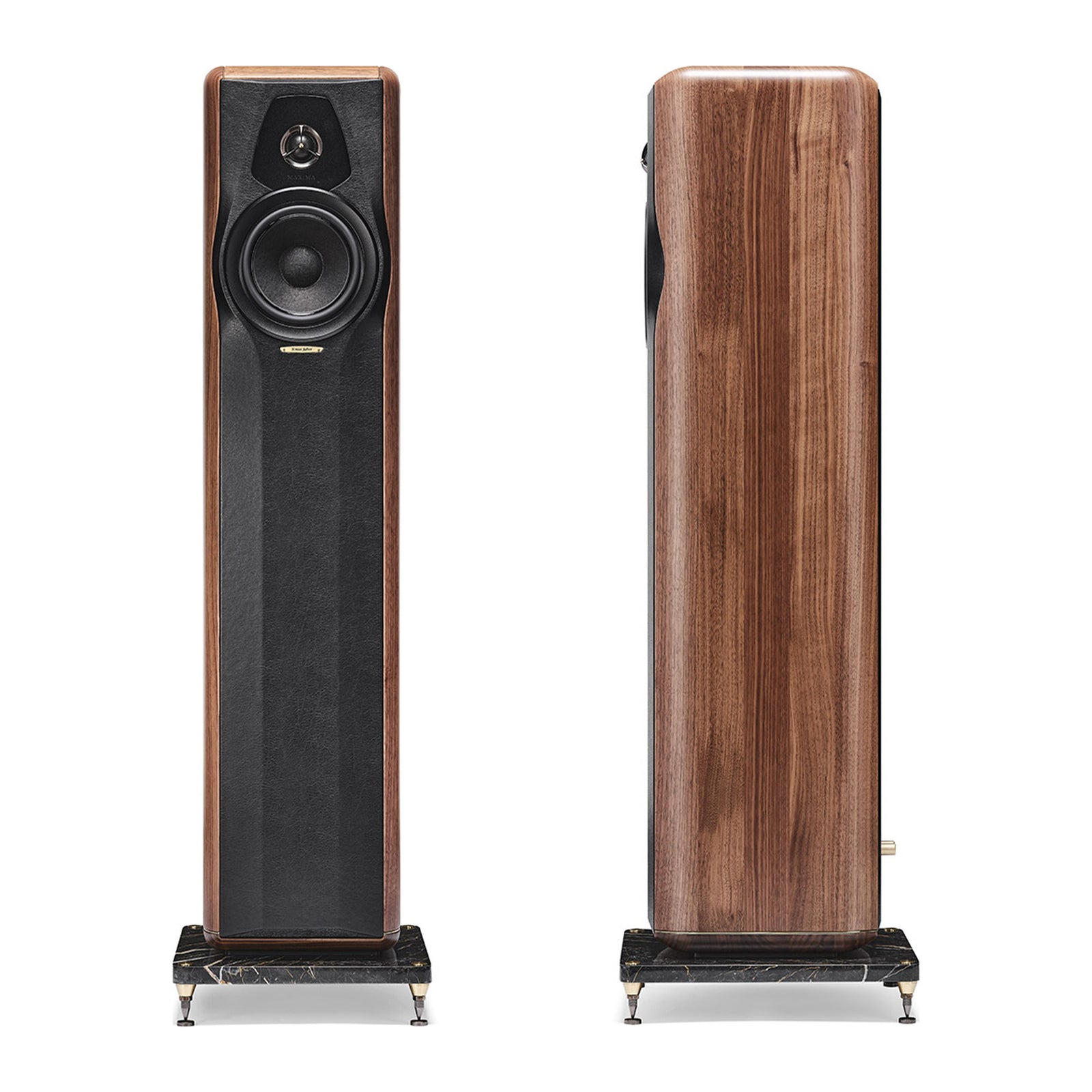 Sonus faber Maxima Amator factory product view