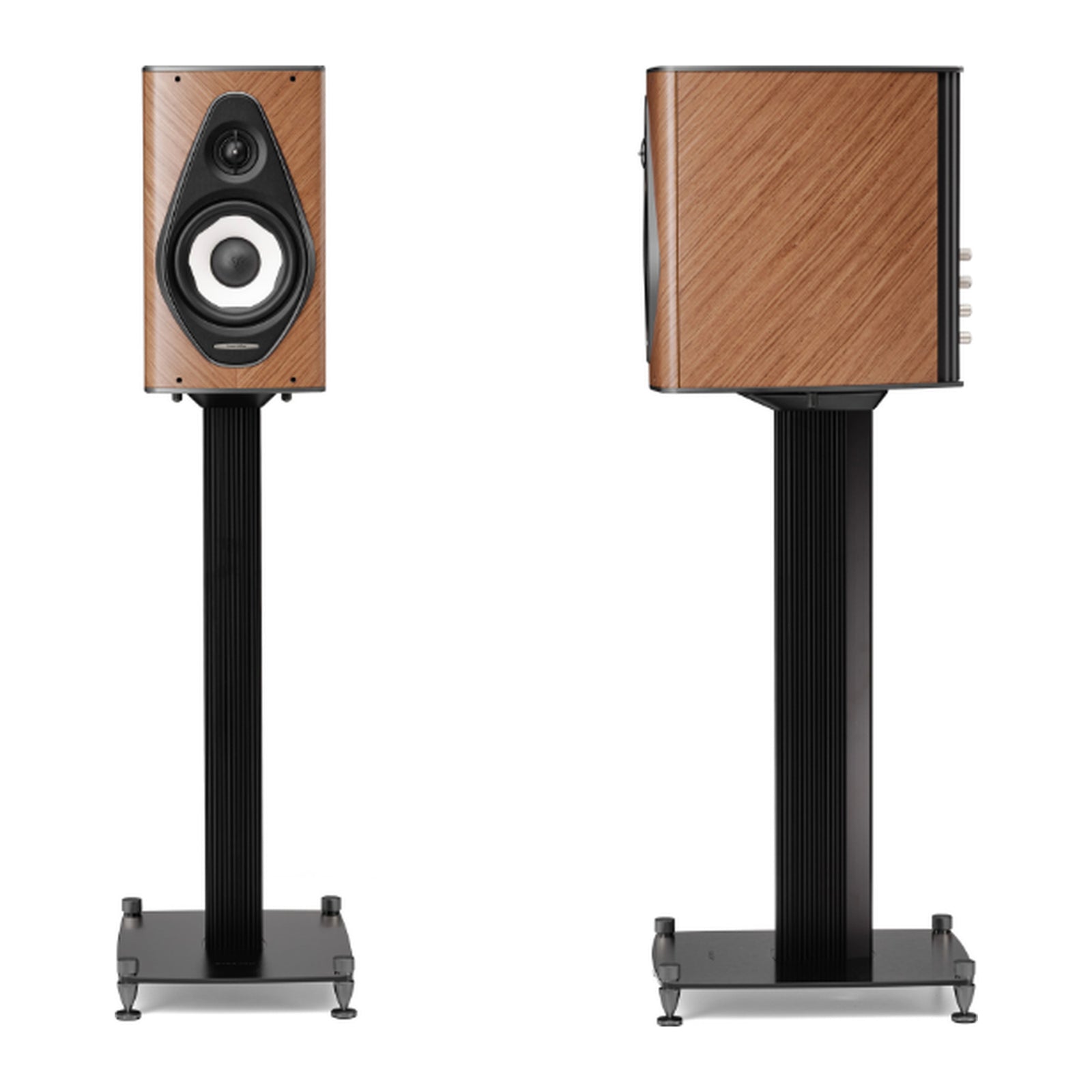 Sonus faber Olympica I G3 factory product view