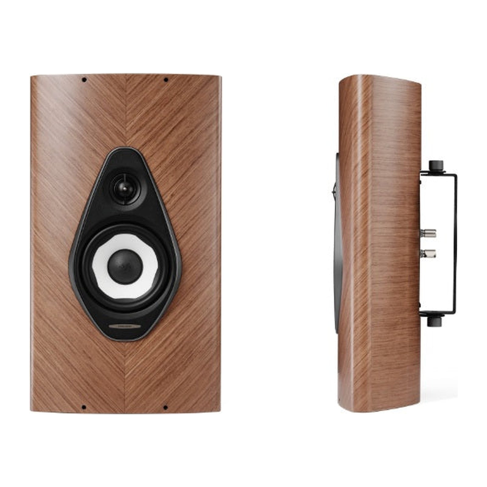 Sonus faber Olympica Wall G3 factory product view