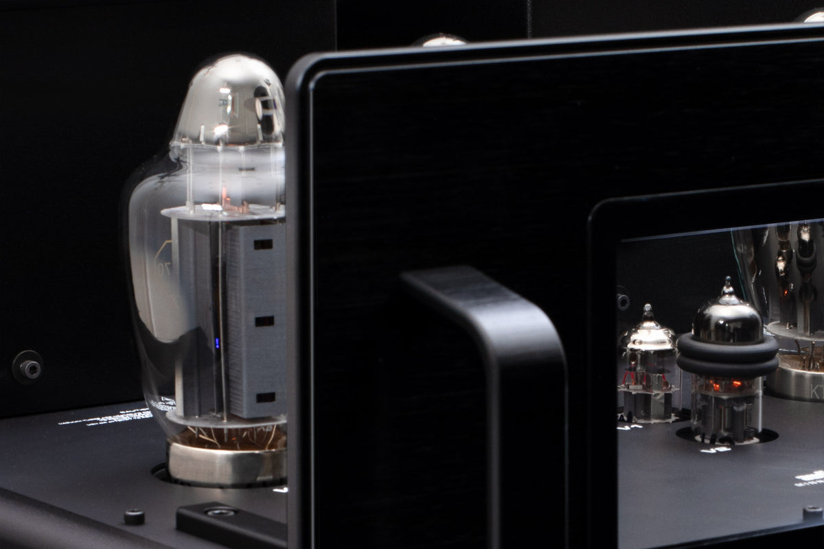 Reference 330M Monoblock Power Amplifier