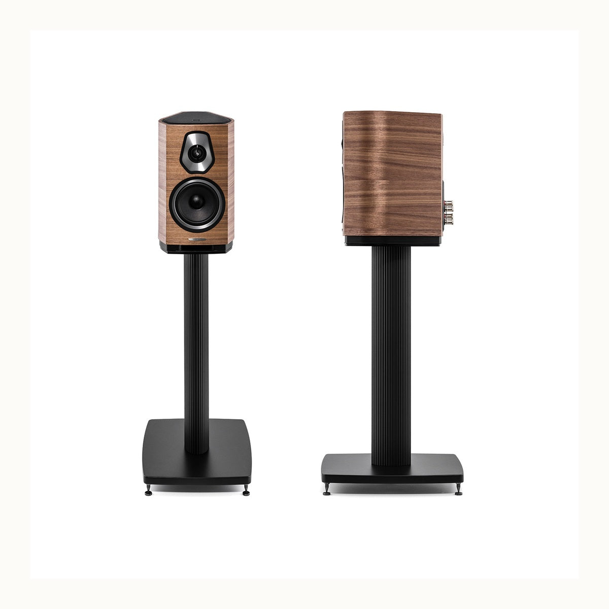 Sonetto I G2 product image 4