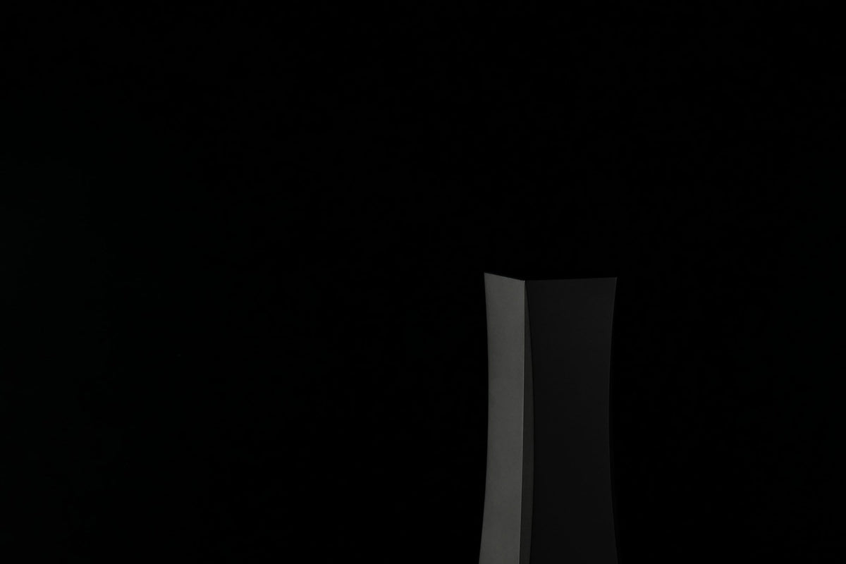 Vinyl Ionizer