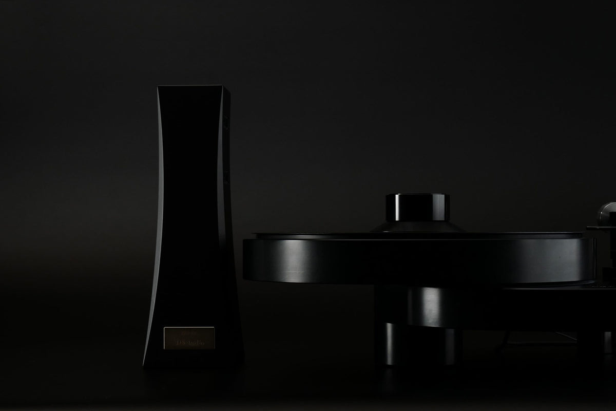 Vinyl Ionizer