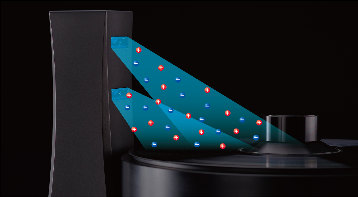 Vinyl Ionizer